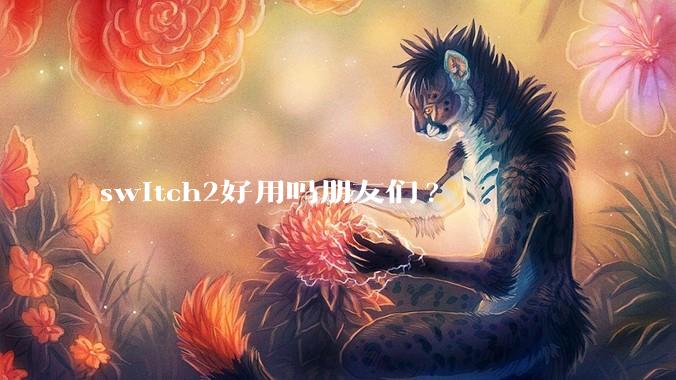 switch2好用吗朋友们?